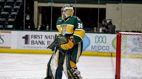 Highly-regarded Warroad goalie follows big brother, commits to Northern  Michigan - The Rink Live
