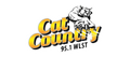 Cat Country 95.1 Logo