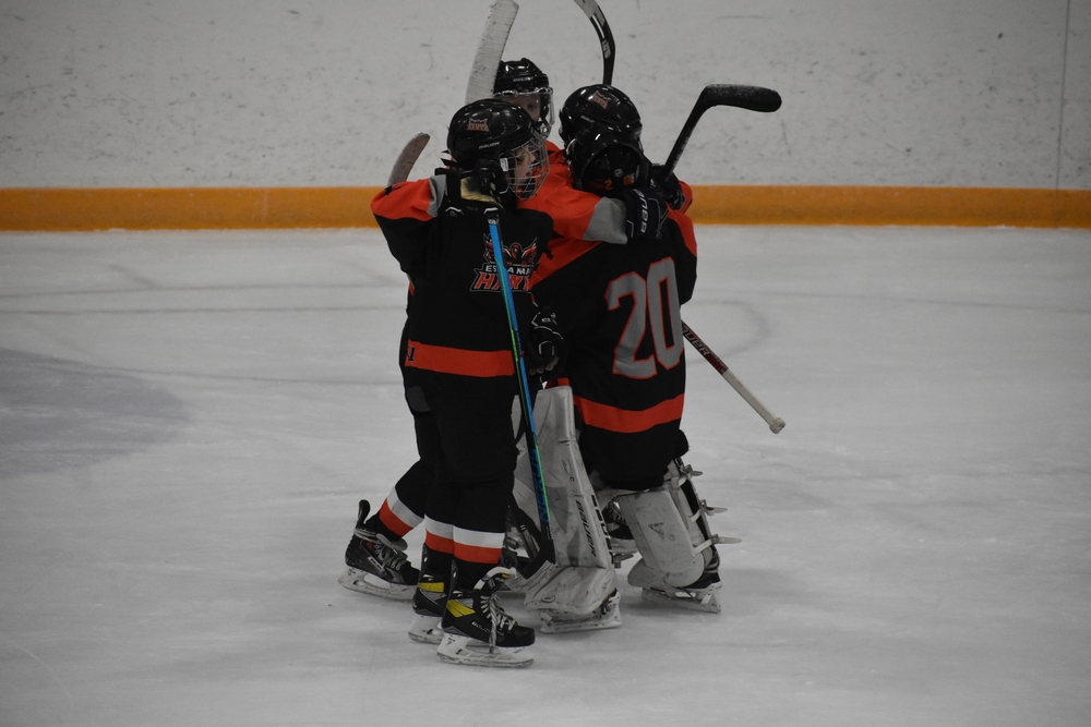 Escanaba Hawks youth hockey team come up short in title game, but excited  to return next year