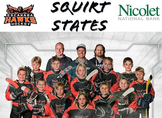 Saginaw Squirt team takes District 5 championship