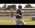 Austin Young drives home two runs for Polecats.