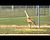Cranes watch the softball tournament games!