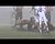 Gladstone Matt Chenier touchdown