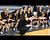 Iron Mountain Coach Newberry studies