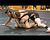 Esky's Breyden Papineau pins BR-H Tyler Labadie.