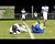 Flivvers Perpick-to-Terrian Touchdown
