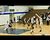 Rockets' Logan Hardwick buries the three-pointer