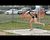 Escanaba's Jeny Brandt shot put throws.