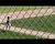 Ian Schwalbach doubles home two runs; scores on error