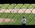 Carson Shea launches three-run homer for Gladstone